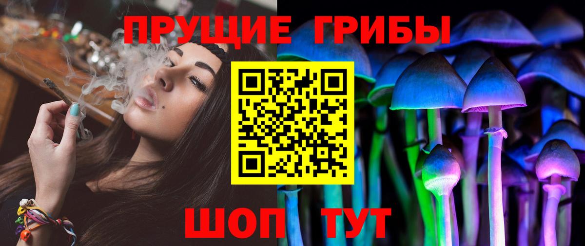 где купить   Псилоцибиновые грибы мухоморы  Вход с VPN  Шебекино  Псилоцибиновые грибы мицелий 